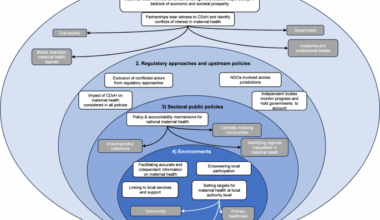 The commercial determinants of maternal health