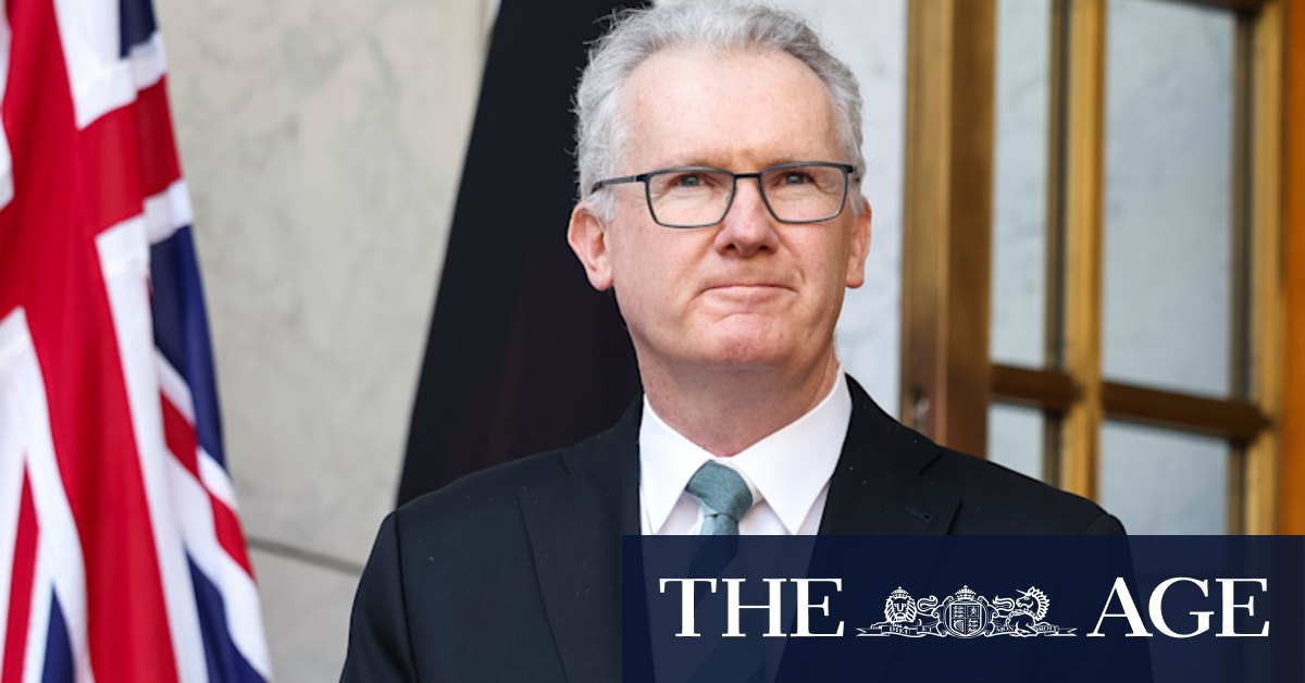 Tony Burke career profile interview: Australia’s Home Affairs minister