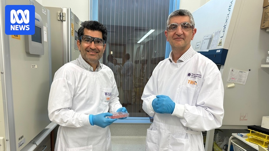 World-first living skin grown in Queensland laboratory