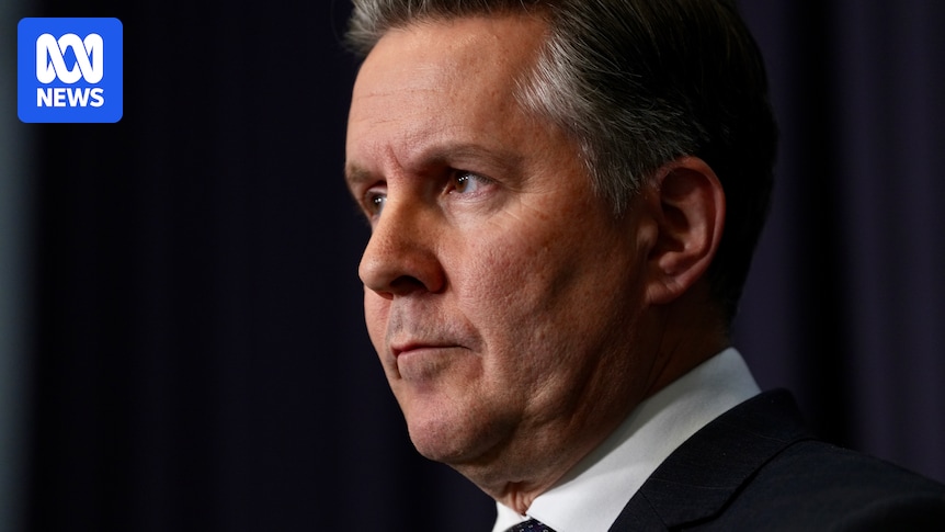 Health minister expects blindsided states to match $2 billion funding pledge for Thriving Kids
