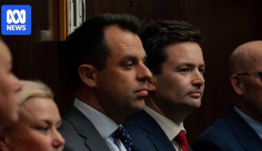 Josh Willie replaces Dean Winter as Tasmanian Labor leader after election loss