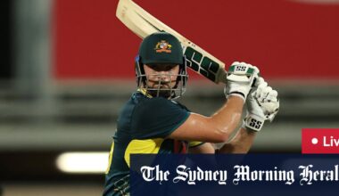 Australia beat South Africa by 17 runs in opening T20 after David magic and brilliant Maxwell catch - The Sydney Morning Herald
