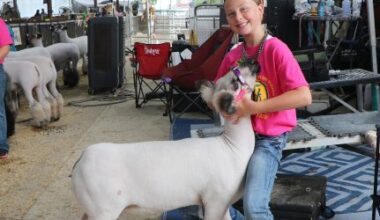KNEB-AM 960 AM – 100.3 FM - Livestock and Community: All Part of County Fairs - Rural Radio Network