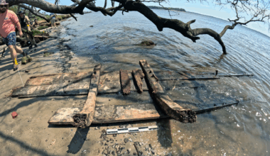 several pieces of old wood sit on a beach