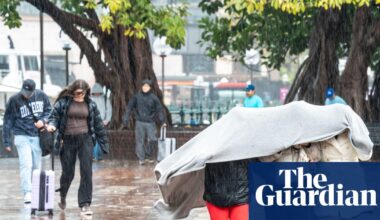 Sydney has wettest start to August in decades – and there could be more rain when spring arrives | Australia weather