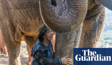 The elephant whisperer: one Thai woman’s lifelong quest to protect a rescued herd | Environment