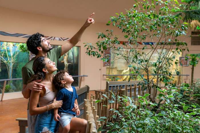 Admission to the San Antonio Zoo is $8 on Thursday for Locals Day