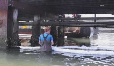 Students uncover pollution in San Diego Bay waters