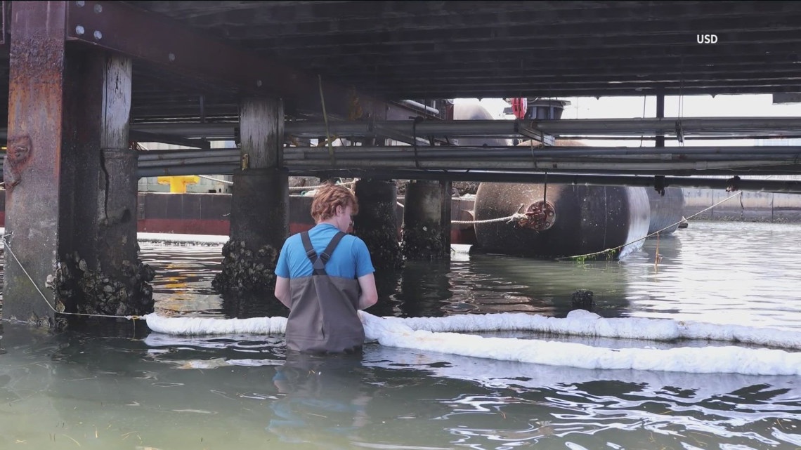 Students uncover pollution in San Diego Bay waters