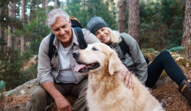 How to pay zero taxes in America on $100,000 of retirement income — and it has nothing to do with Trump’s new bill
