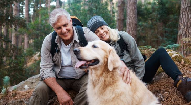 How to pay zero taxes in America on $100,000 of retirement income — and it has nothing to do with Trump’s new bill