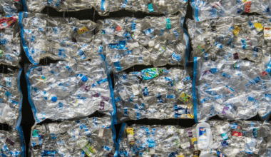 Recycled plastic market to reach USD 124 billion by 2032