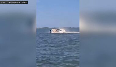 Whale dead, passenger sent flying off boat after collision in Barnegat Bay, New Jersey, officials say