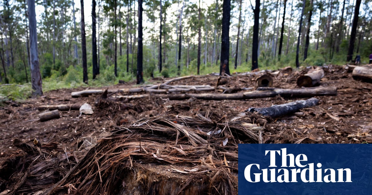 Queensland land-clearing figures show state remains ‘deforestation capital of Australia’, conservationists say | Queensland