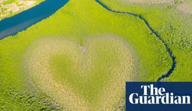 The heart-shaped mangrove formation fading due to rising seas | Pacific islands