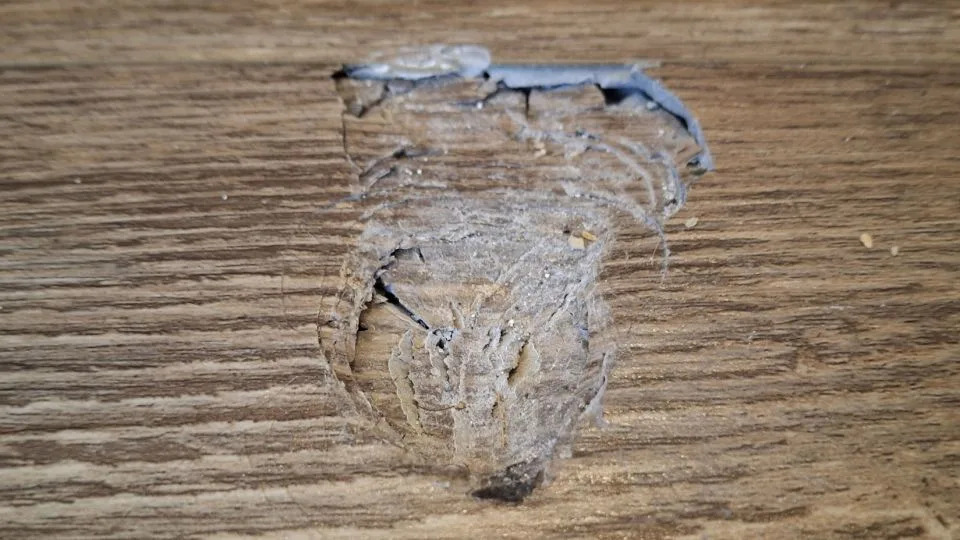 The meteorite dented the Henry County homeowner’s floor. - Courtesy University of Georgia