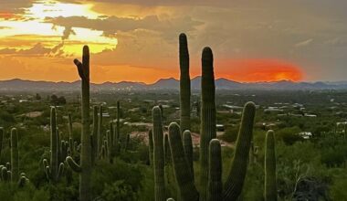 Phoenix real estate: Cooling trend and buyer leverage | Columnists