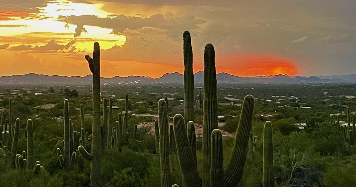 Phoenix real estate: Cooling trend and buyer leverage | Columnists