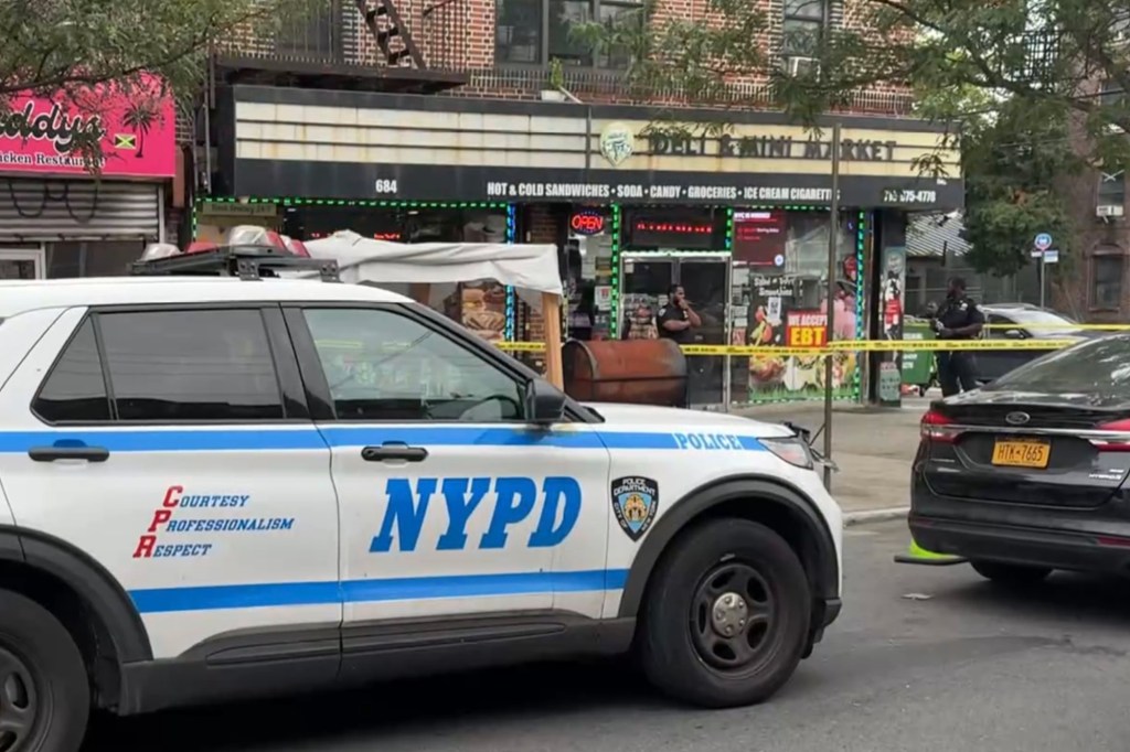 The disturbed attacker walked into the NY Deli & Mini Market Corp. on Hegeman Avenue near Van Siclen Avenue just after 3 p.m., and workers -- including the victim -- asked him to leave, law enforcement sources said. 