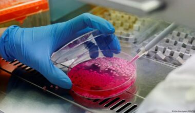 Fraudulent research is 'destroying trust in science' – DW – 08/10/2025