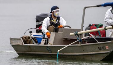 Source of zebra mussels in Colorado River uncovered | Western Colorado