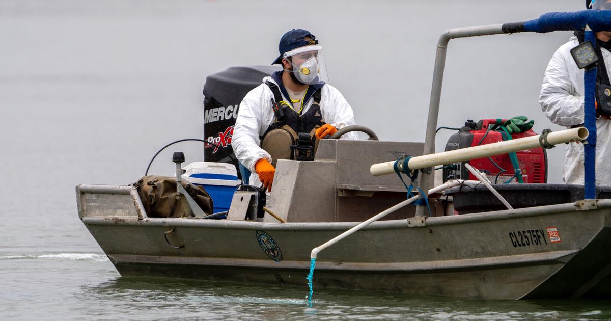 Source of zebra mussels in Colorado River uncovered | Western Colorado