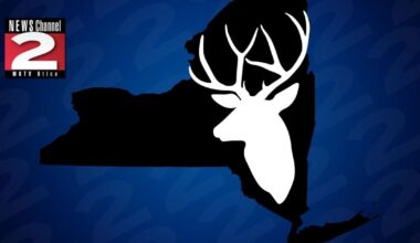New York's Hunting Regulations Modernized | Local