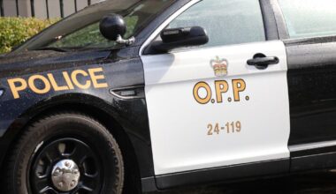 Brampton woman, 23, dead in single-vehicle rollover on Hwy. 401 in Mississauga - Toronto Star