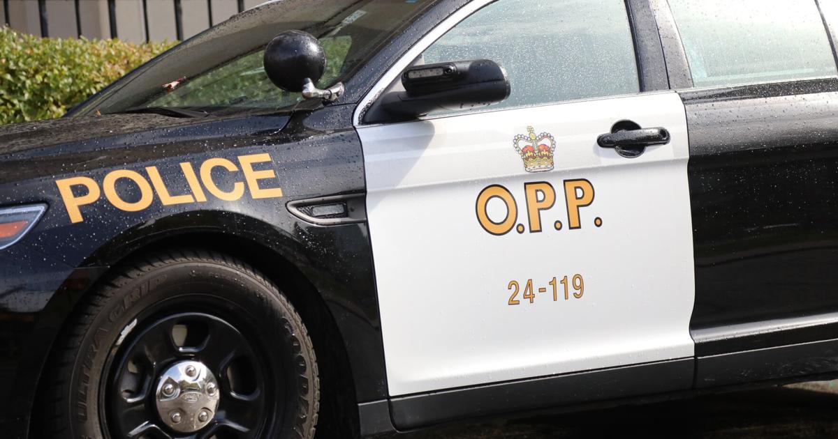 Brampton woman, 23, dead in single-vehicle rollover on Hwy. 401 in Mississauga - Toronto Star