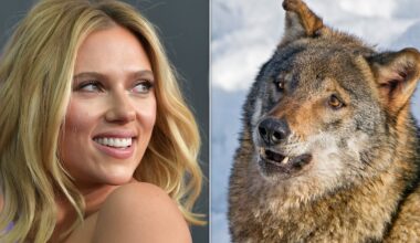 The USDA Is Using Scarlett Johansson And Adam Driver To Scare Off Wolves