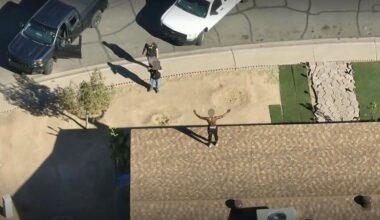 Death of man after rooftop showdown raises questions about the less-lethal weapons Phoenix police used to subdue him | State