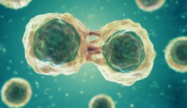 Cell Isolation Market to Reach USD 53.0 Billion by 2033, Driven by AI Workloads and High-Density Computing