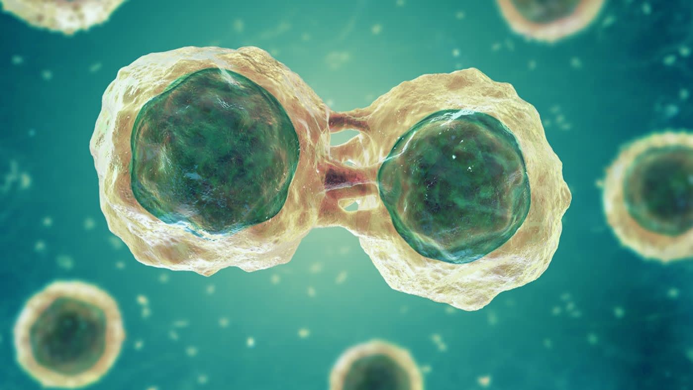 Cell Isolation Market to Reach USD 53.0 Billion by 2033, Driven by AI Workloads and High-Density Computing