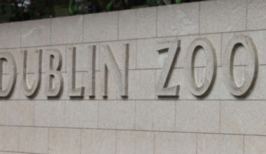 Dublin Zoo teams up with a popular healthy fast food business