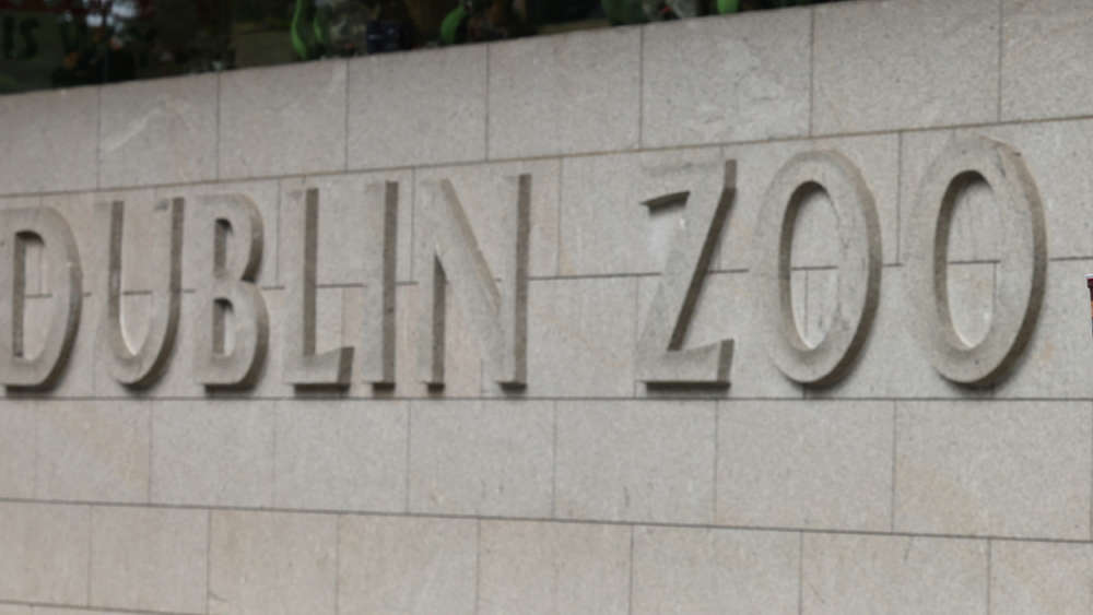 Dublin Zoo teams up with a popular healthy fast food business