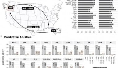 Decoding the firmness: genetic clues to better blueberries