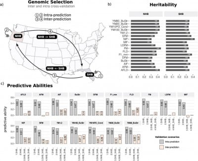 Decoding the firmness: genetic clues to better blueberries