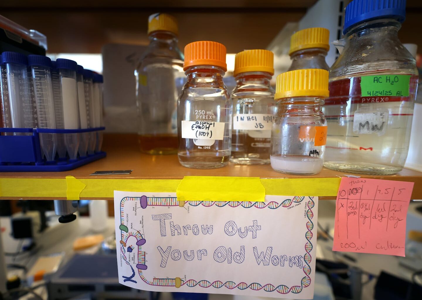 Laboratory where genetics research on worms is conducted using chemicals at UMass Memorial Medical Center in Worcester.