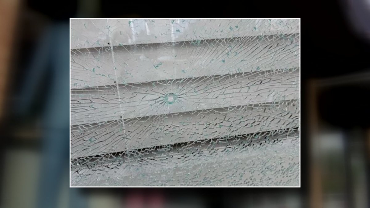 Dallas Design District businesses concerned over safety – NBC 5 Dallas-Fort Worth