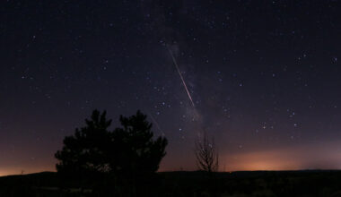 Two meteors are pictured racing through a starry night sky parallel to the Milky Way. Light pollution is visible above a silhouetted horizon and trees.