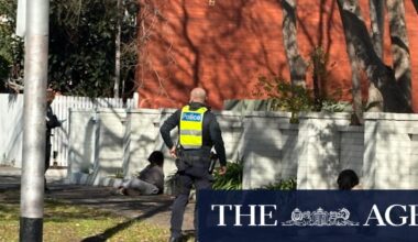 Six arrested after gunshot, screams heard in altercation