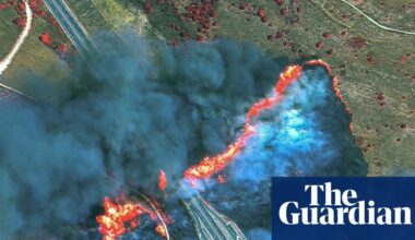 Europe scorched by wildfires – pictures from space | World news