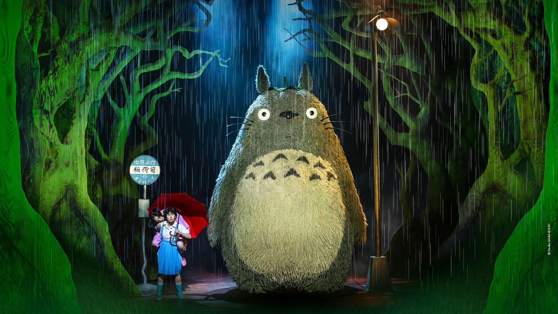 My Neighbour Totoro Studio Ghibli adaptation - August 2025 official visual