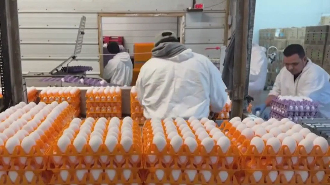 PREVIOUS COVERAGE: Trump administration sues California over cost of eggs