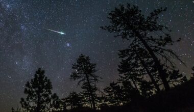 Summer’s best meteor shower is happening now, and this one has fireballs