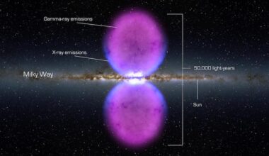 Two large purple spheres on top of a black background
