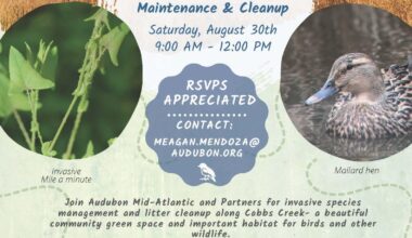TOMORROW: SAT 8/30 WHITBY MEADOWS CLEANUP