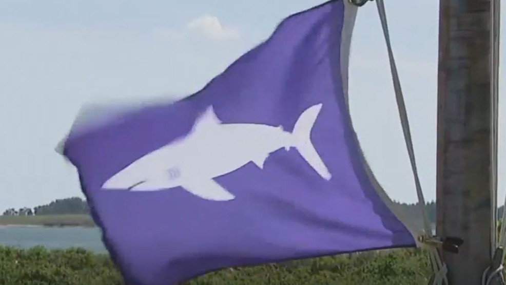 Shark sighting at Reid State Park prompts brief water closure for safety - WGME
