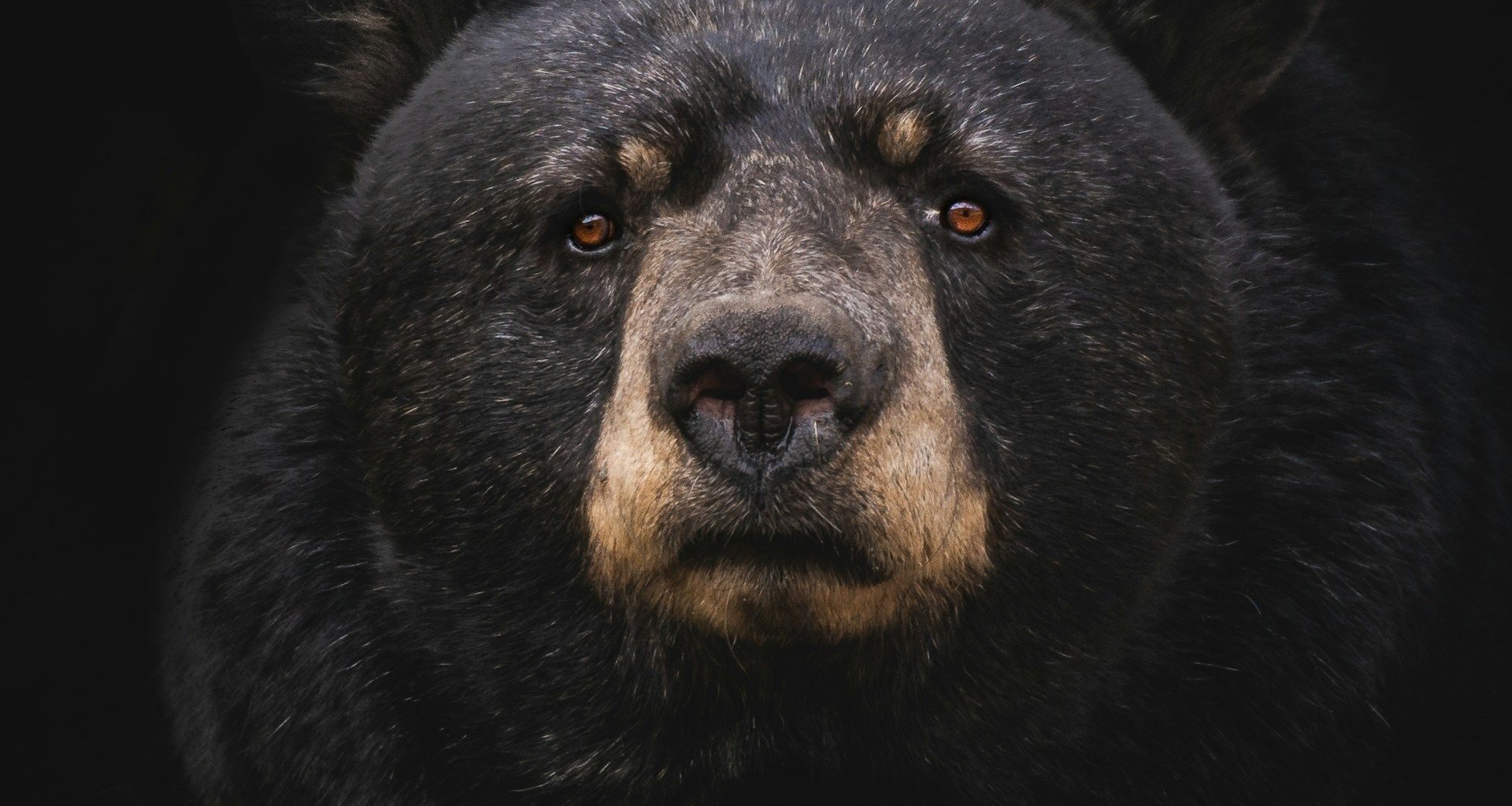 (CoinDesk)