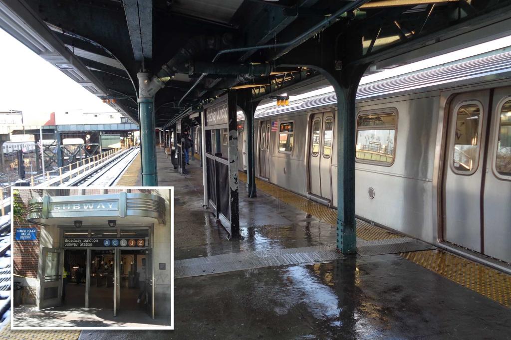 Maniac shoves, punches man, 85, in unprovoked attack at NYC subway station: cops